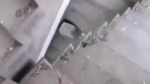 what is it
