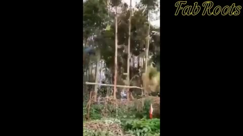 DEW Directed Energy Weapons 🔥🔥🔥 by Fab Roots censuré