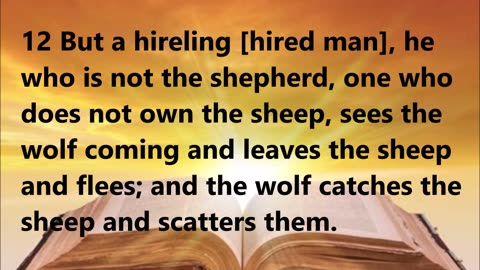 The Good Shepherd