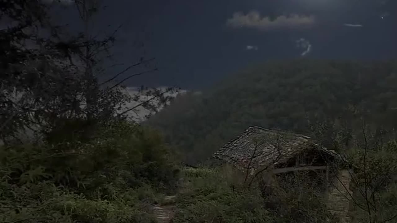 The environment is beautiful.