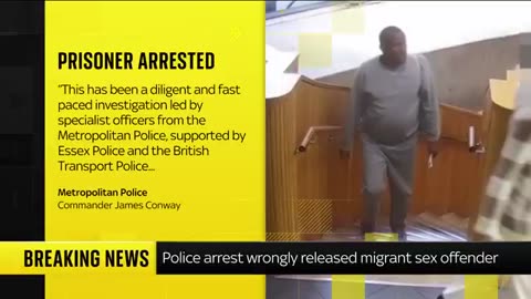 Tories call on government to apologise for wrongful release of prisoner