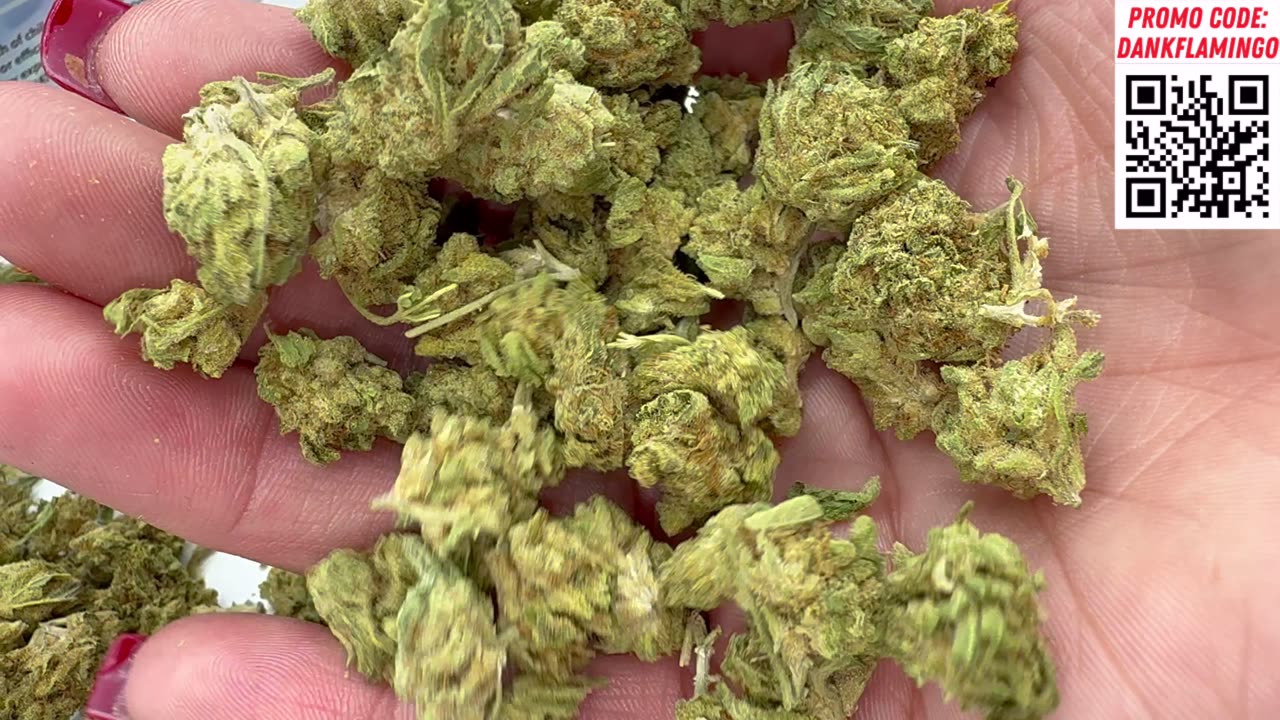 We Ordered The CHEAPEST EVER $19 BUDGET OZ From Lit Farms! Dankin with the Flamingos Review!!