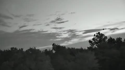 🛸😱 Possible Orb Sighting Near Ohoopee River! | TheTruthAbove