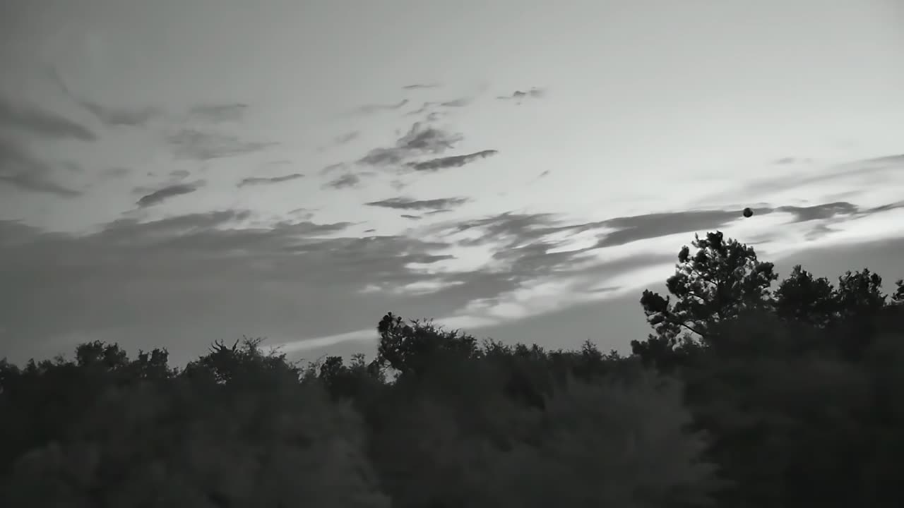 🛸😱 Possible Orb Sighting Near Ohoopee River! | TheTruthAbove