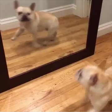 Me every morning.. 😂