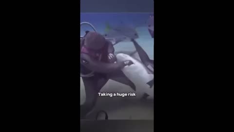 Removed Over 300 Hooks From Sharks