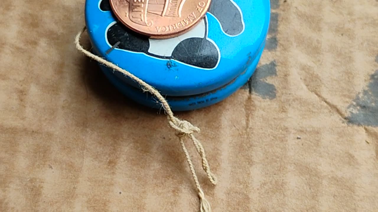 Old panda bear yo-yo