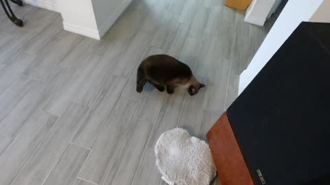 He's feeling better