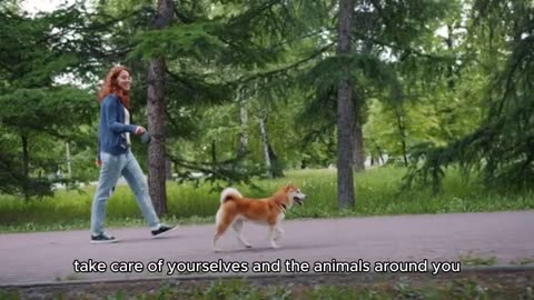 Performance animals have a risk of death