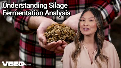 Fermentation Analysis:The Silent Guardian of Silage Success