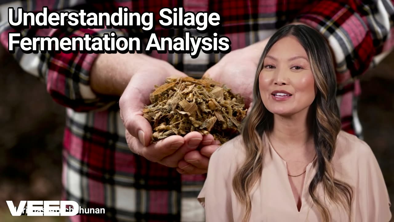 Fermentation Analysis:The Silent Guardian of Silage Success