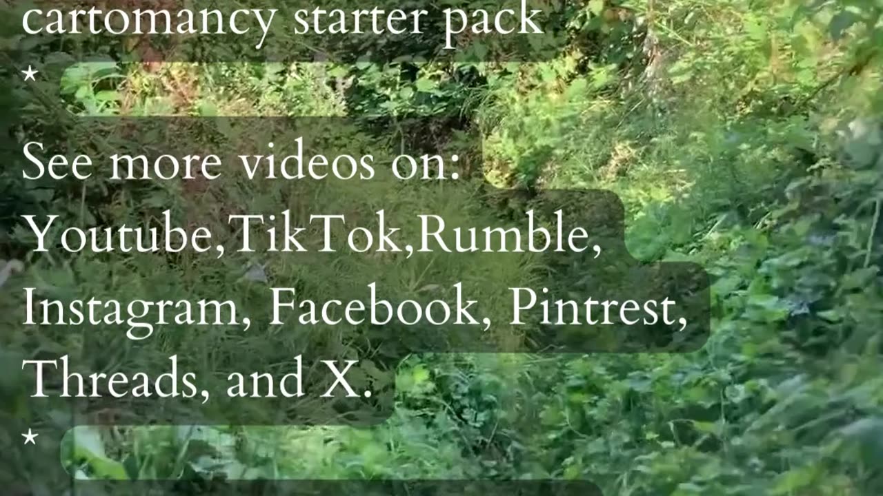 You Guide The Way | Path and Tarot Reading