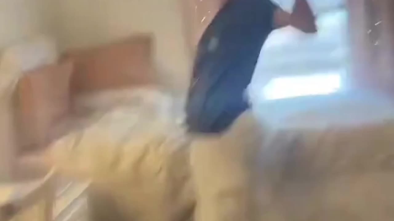 invisible Prank