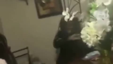 Little blk girl stabs mother