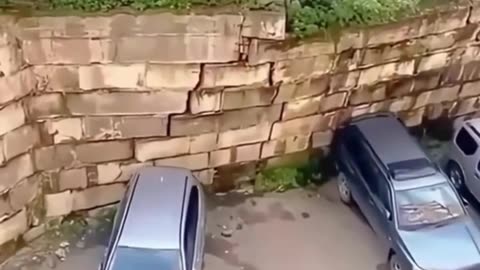 Massive Tree Collapse Caught on Camera! 🌳🚗😱