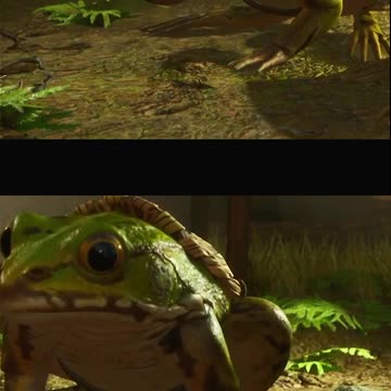 ¿A dónde vamos? ¡No a ese barrio!