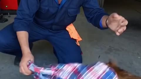 The Unbelievable Adventures of Billy and Sol: Two Best Dog Friends