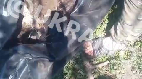 Ukraine war combat footage july 11 202