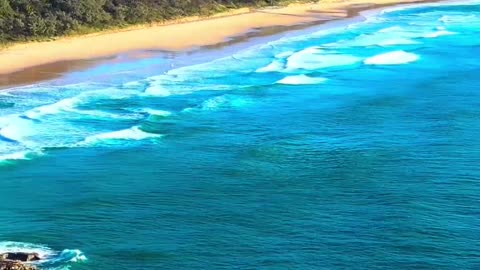 The untouched beauty of our planet — filmed for those who still feel nature’s heartbeat. 🌍