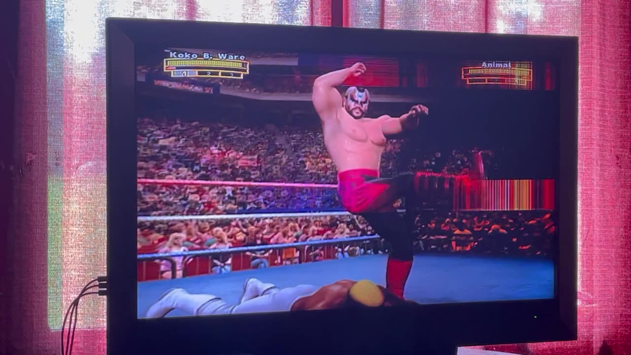 Koko B Ware Vs Animal