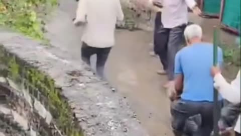 😂🐊 Blindfolding a Crocodile is Hilarious! | FunFM