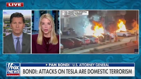 Pam Bondi on attacks on Tesla dealerships