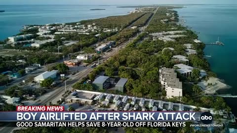 8-year-old boy airlifted to hospital after shark attack off Florida Keys