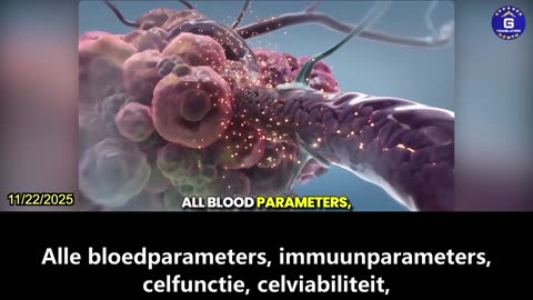 【NL】Onderzoek toont aan dat ivermectine hersentumoren veilig kan verkleinen zonder toxiciteit