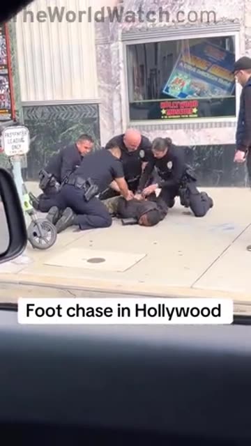Suspect PUNCHED two tourists, BREAKING one of their noses in Hollywood