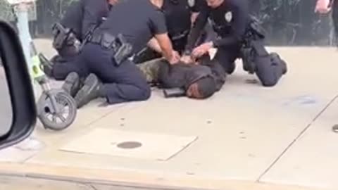 Suspect PUNCHED two tourists, BREAKING one of their noses in Hollywood