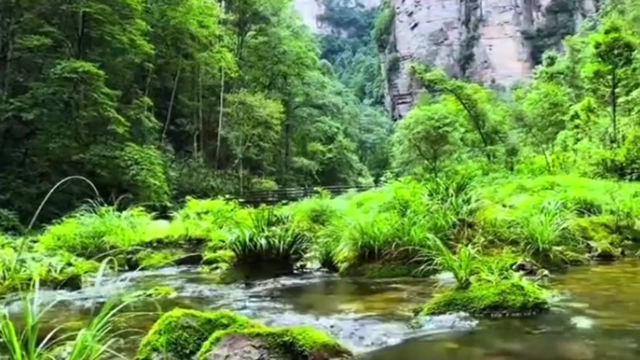 Beautiful nature