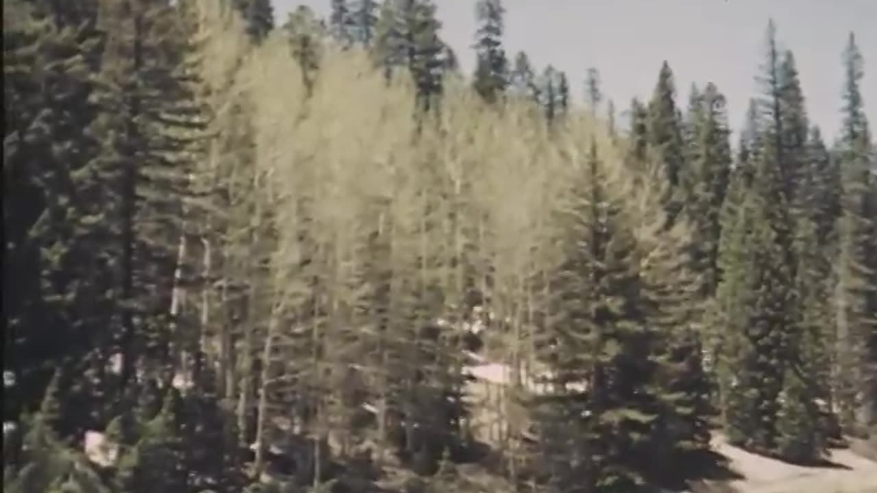 Honeymoon Trip, June 1941