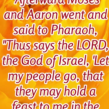 "Let My People Go: God's Command to Pharaoh" Exodus 5:1 #shorts #youtubeshorts #ytshorts #youtube