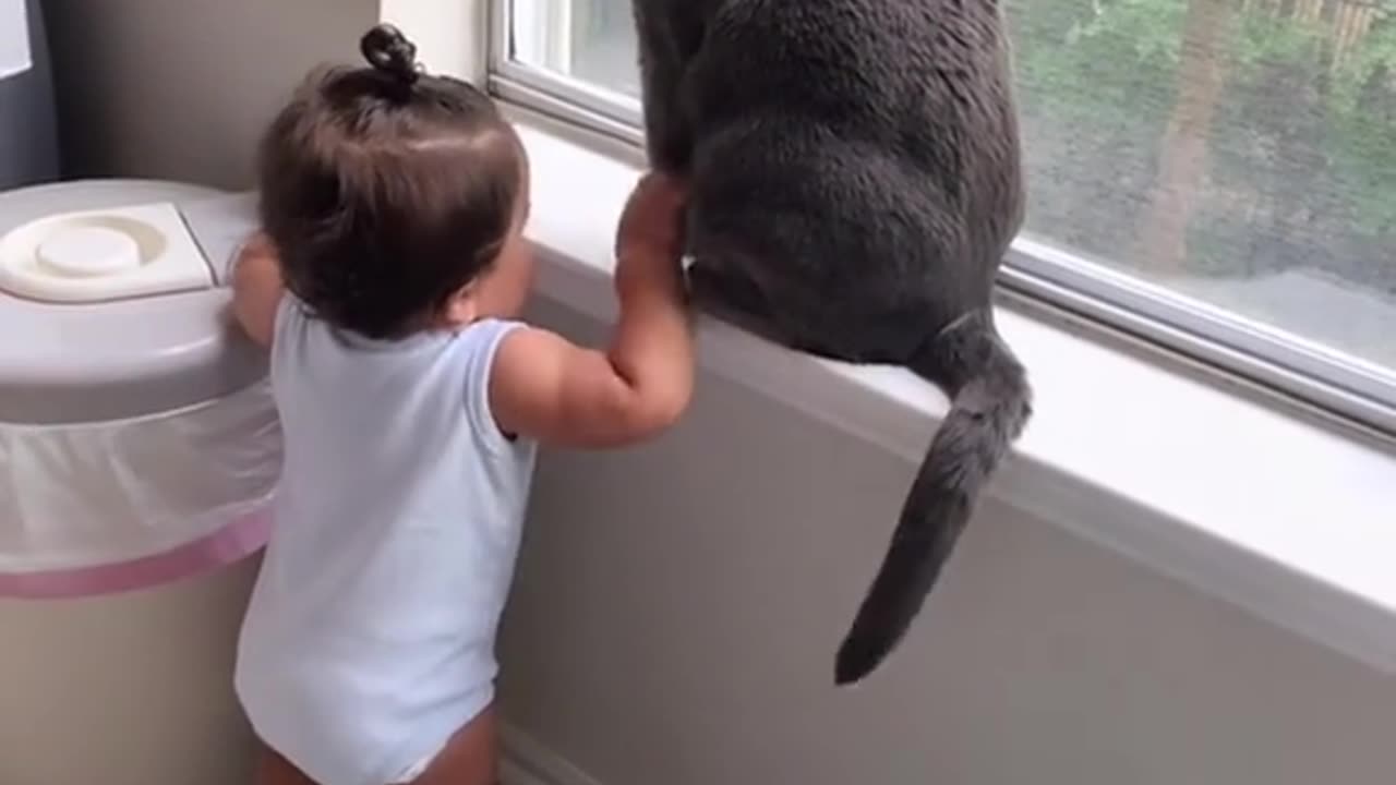 😆cat and baby