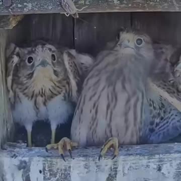 Fear of the unknown 😍