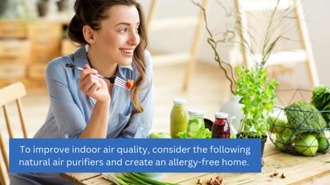 Natural Air Purifiers for Allergy-Free Homes