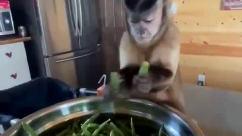 😂👩‍🍳 Wait Till You See the New Prep Cook Fail! | FunFM