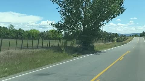 Texans are A$$holes When They’re Not in Texas