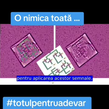 Vaccipurile666 pecete: Pfizer, AstraZeneca, Janssen (Johnson) si ModeRNA, ce contin!