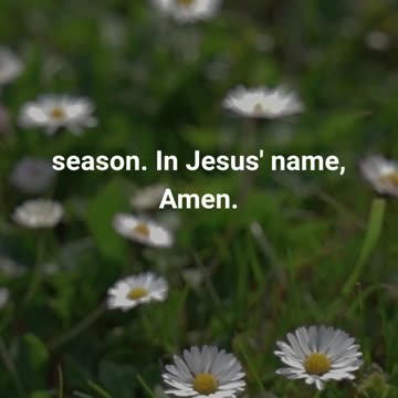 Feeling Overwhelmed? Watch This for Hope! #prayer #faith #godspresence #dailyprayer