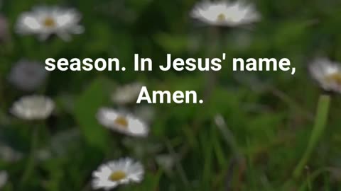 Feeling Overwhelmed? Watch This for Hope! #prayer #faith #godspresence #dailyprayer