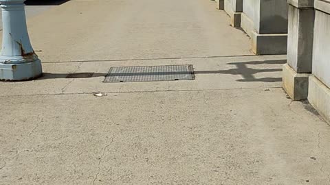 Riding over the Market Street Bridge from Wilkes-Barre to Kingston