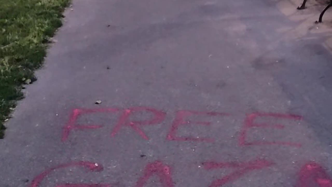 New Yorkers demand a "FREE GAZA"