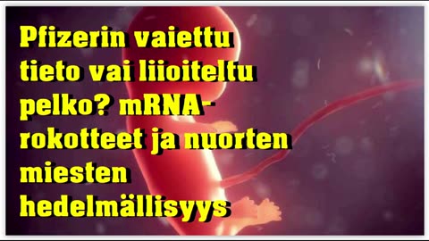 Pfizerin vaiettu tieto vai liioiteltu pelko - mRNA-rokotteet ja nuorten miesten hedelmällisyys