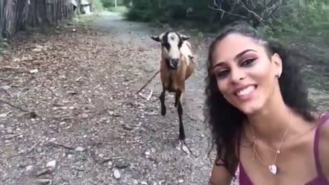 Even animals hate influencers
