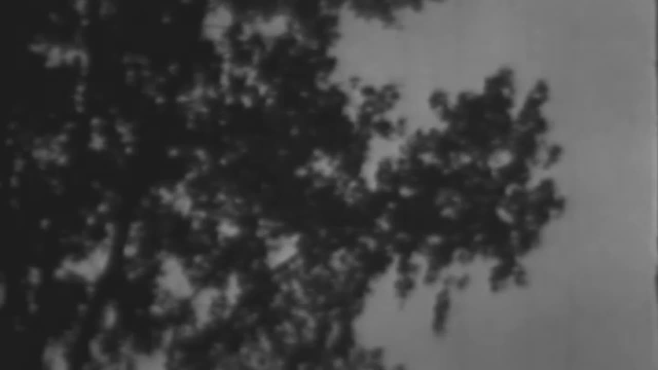 CAMP PERRY NATIONAL MATCHE... - CAMP PERRY NATIONAL MATCHES, 1931 Part II National small bor - 69-63