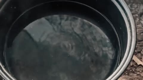 Esta cocina no aguanta el verano de 30 grados (ASMR) 🔥