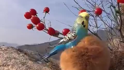 Super Cuteness!!!!