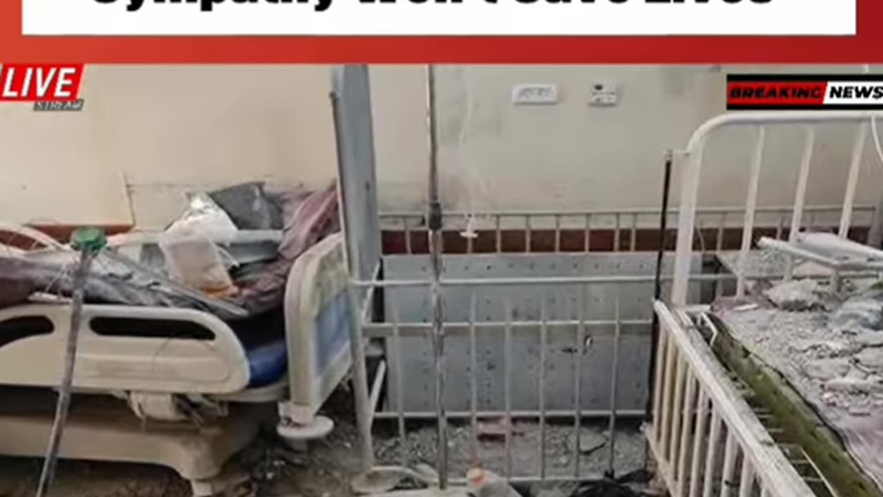 Putin Slams Trumps Gaza Plans