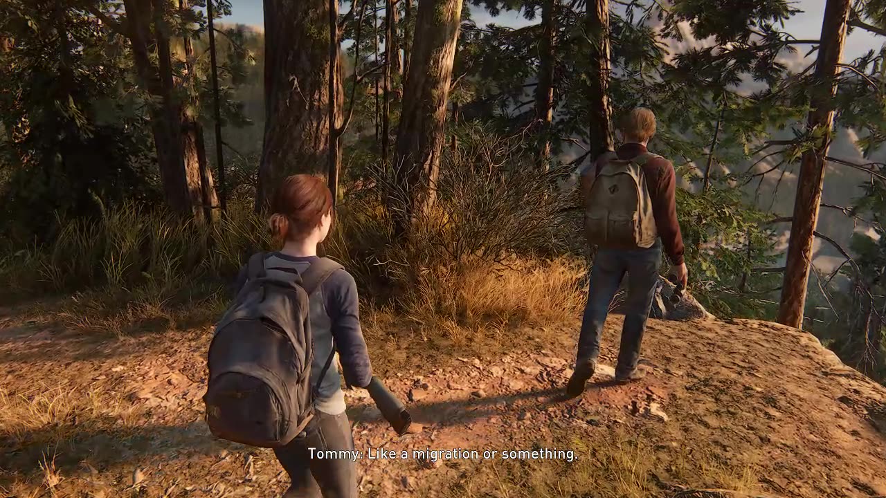 The Last Of Us Part 2 - 14